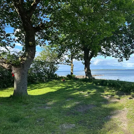 House In 1st Row To * Haderslev